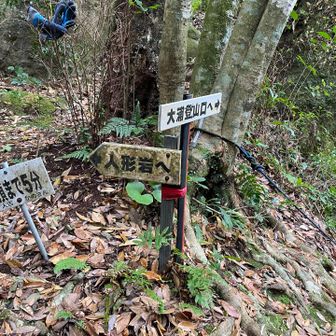 山頂への分岐点。ベンチがあるのでひと休み。
これからの5分が濃ゆかった😅