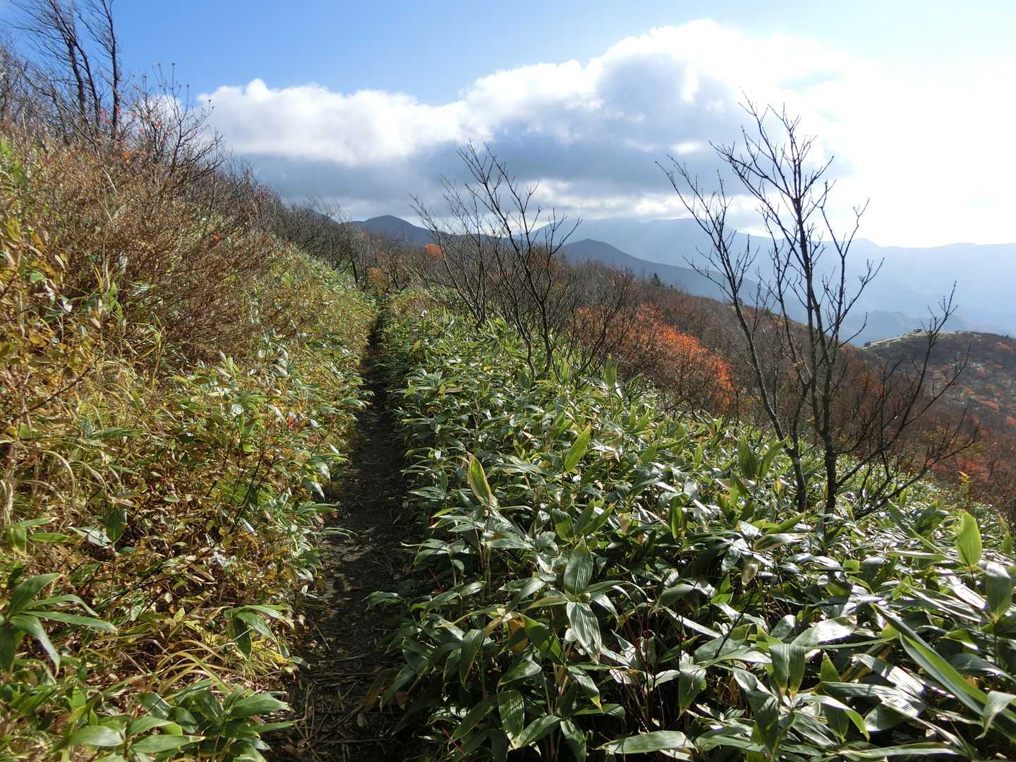 戻ります