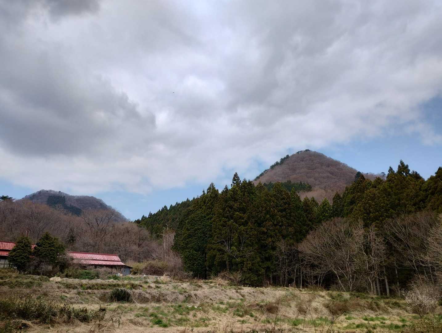 信楽寺跡登山口-松倉山-撫倉山 周回コースの写真