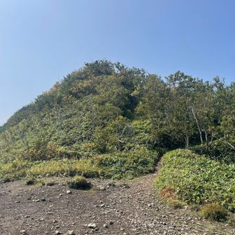 頂上混み合ってます、どの山も休日に来ると人の多さにびっくり、熊の心配も減り安心😮‍💨