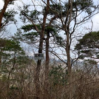 そんなこんなで荒地山到着。山頂には何名かいてました。