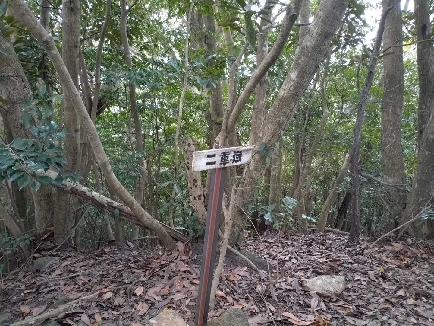 少し下って登って二重嶽
ノー眺望