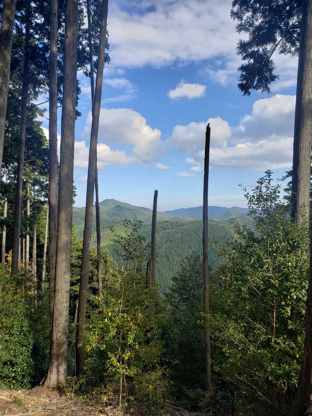 鞍馬山（京都府）の写真