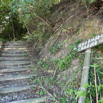 整備されてるがほぼずっと階段