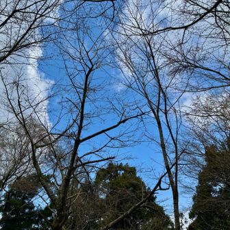 爽やかな青空💙