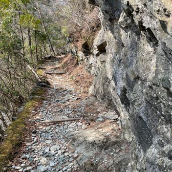 こんな感じで銅山越まで歩き易い登山道が多いです
