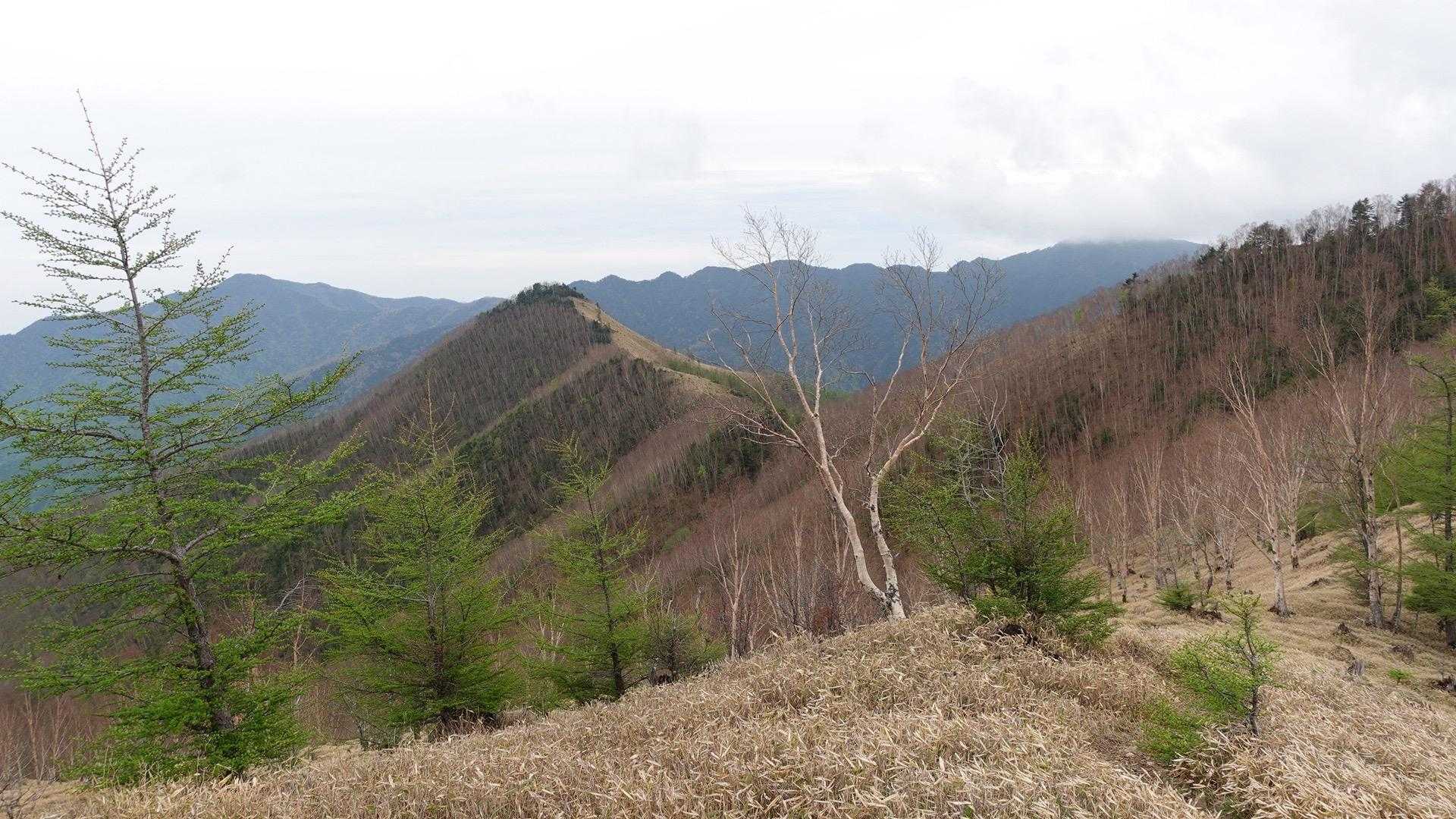 三ノ瀬登山口-東仙波-和名倉山 往復コースの写真