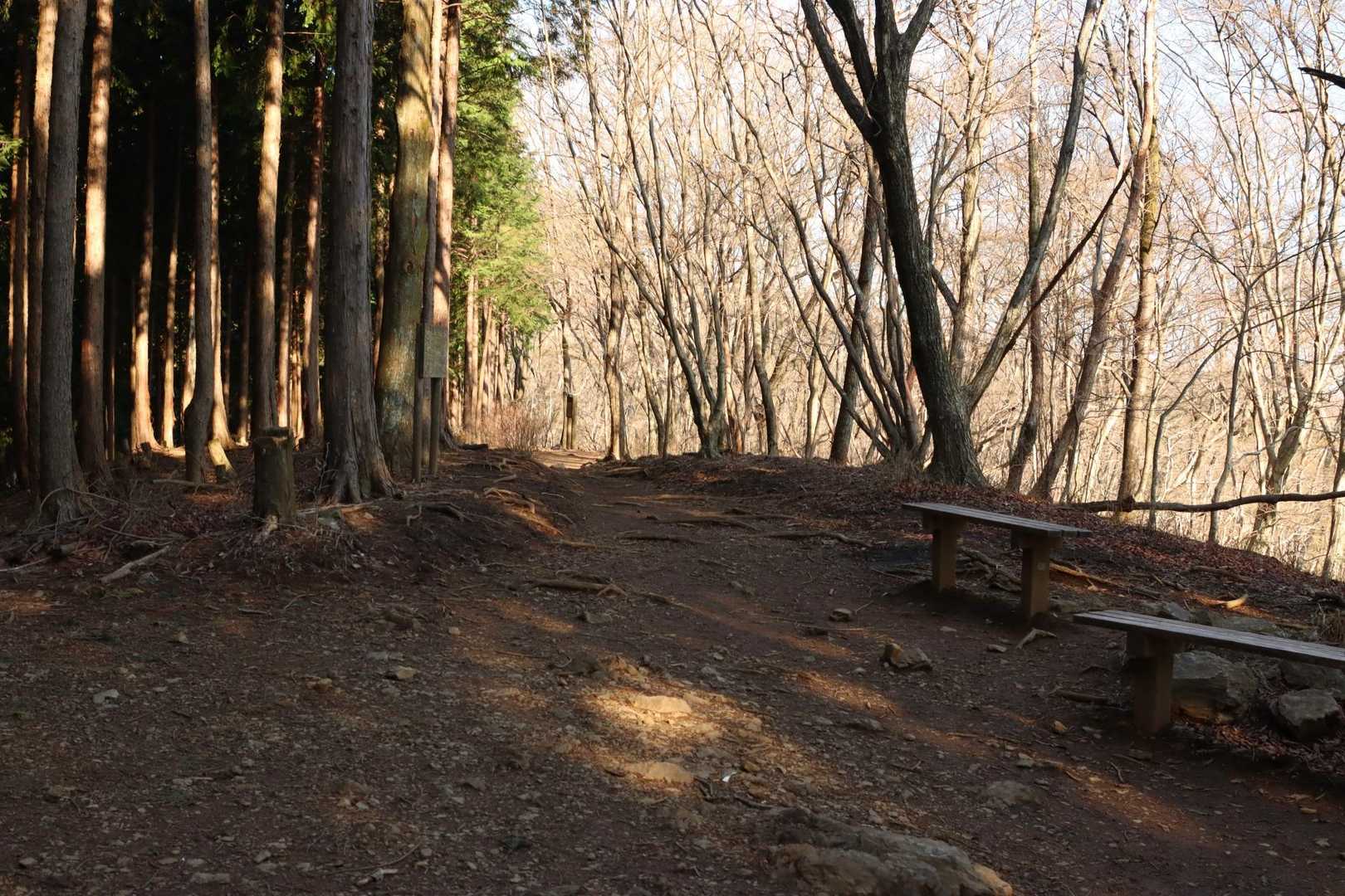 平なところに出ました。
あとひと登りで山頂