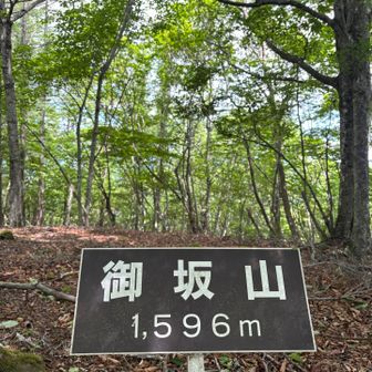 御坂(ミサカ)山　到着‼️
甲斐百山です♪
