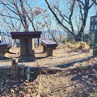 今日はベンチだけじゃなくシート広げて大勢の方が宴会してました🍻🍶🫕