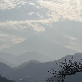 拡大して何とか富士山見えました