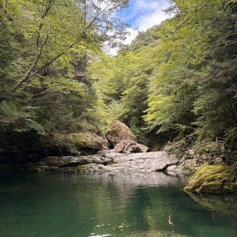 綺麗な景色に癒される☺️