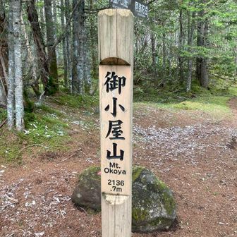 阿弥陀岳からの下山路も、しばらく急坂続きでした💦転ばない様に気をつけながら歩き、ようやく、御小屋山 山頂✨初です👍

その後は比較的歩きやすい登山道でした😊