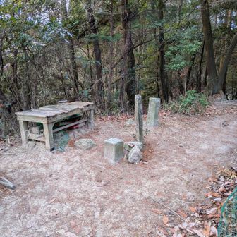 長等山最高点の三角点