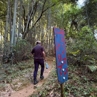 ライオンとりでへ行ってみます