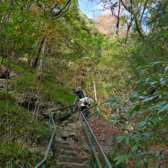 さらに上に向かいます。