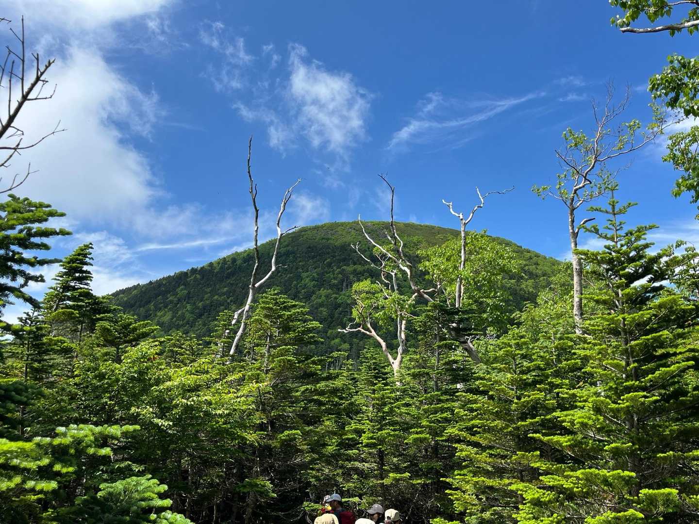 蓼科山（大河原峠）の写真