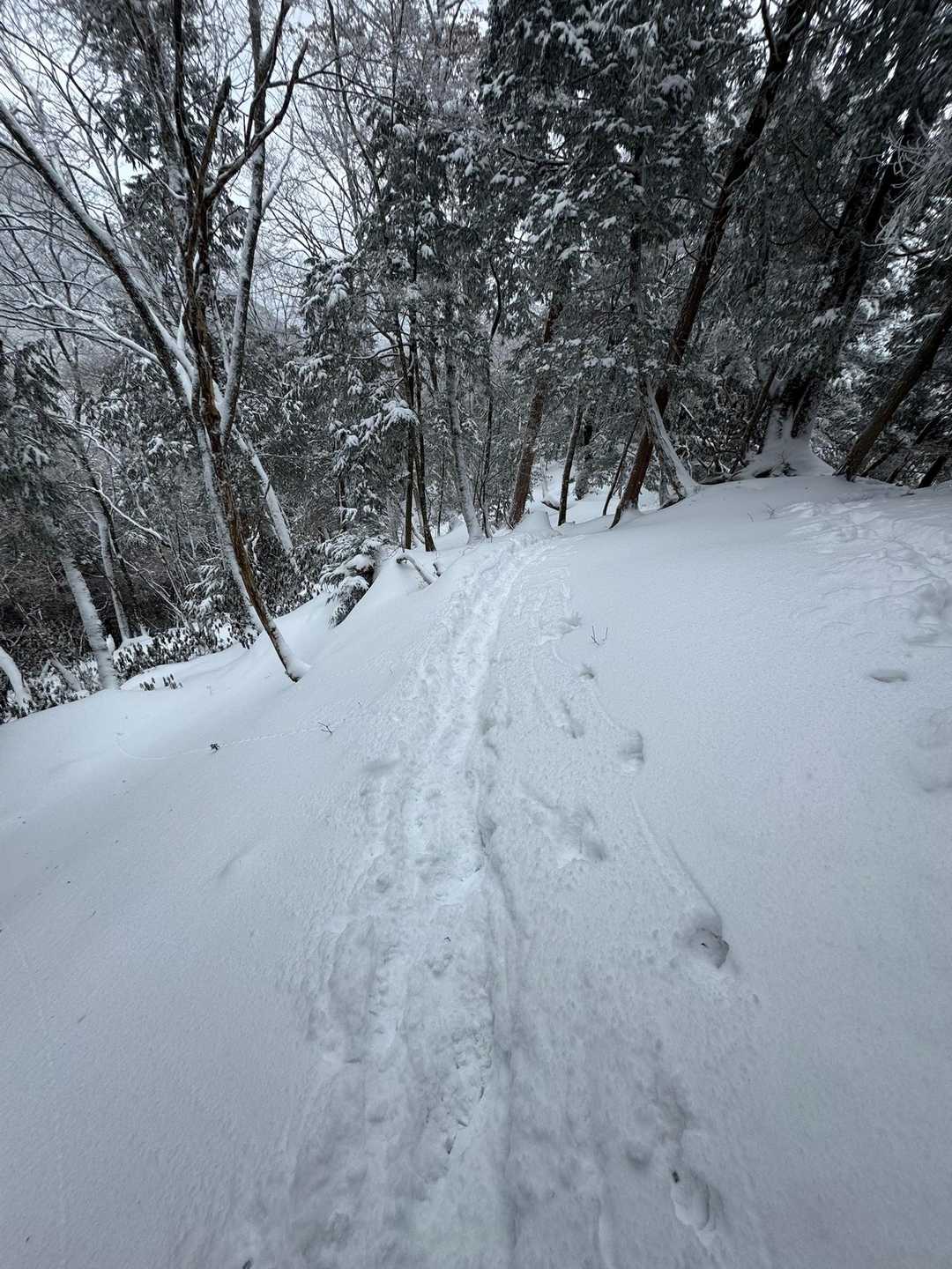 頑張ってきた軌跡⛏️