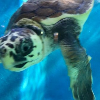 まっつん