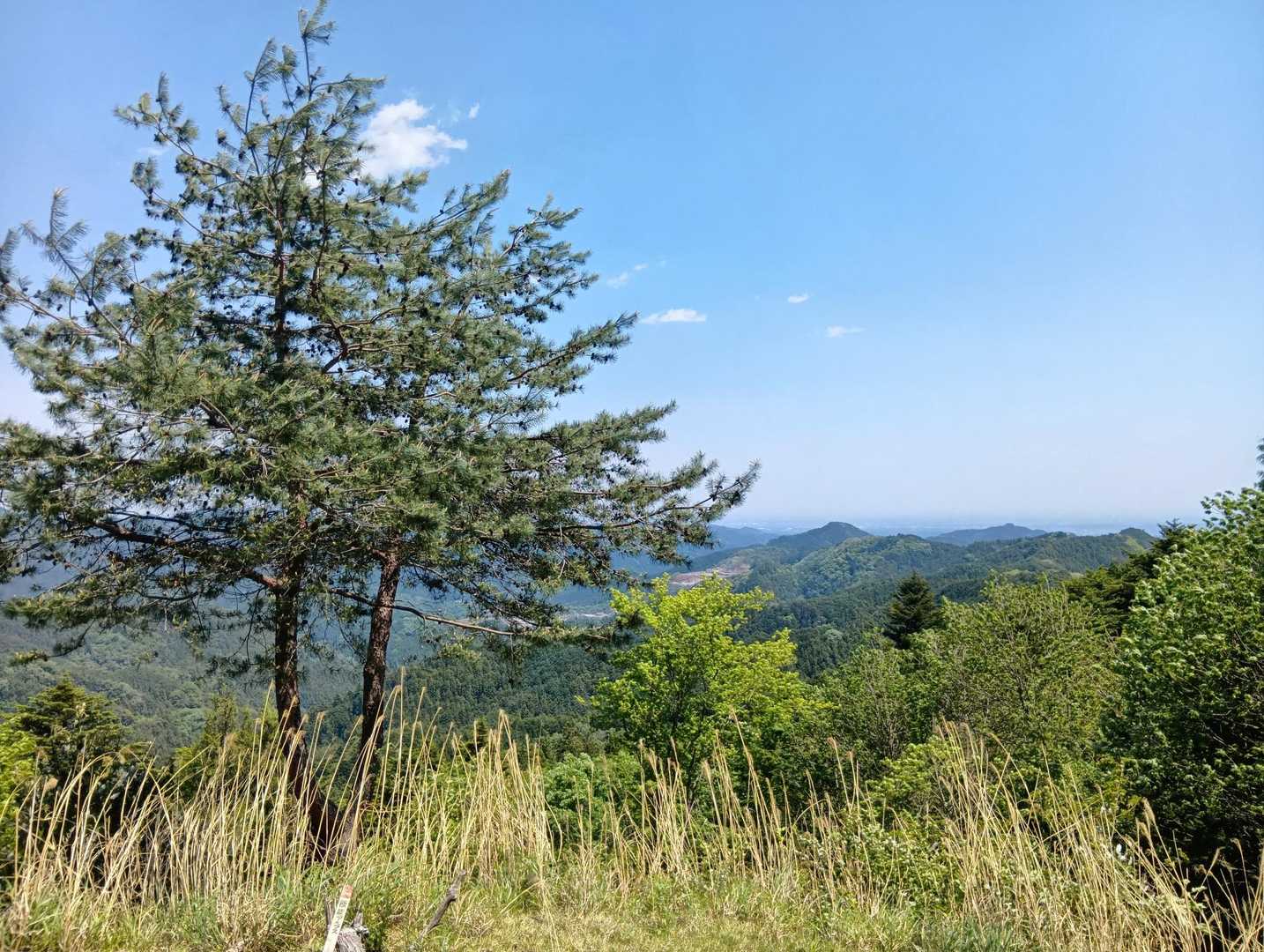 子ノ権現付近は見晴らしがいい！
今日のルートは木に囲まれた登山道だったからわからなかったけど、快晴！

今日も無事に下山した〜