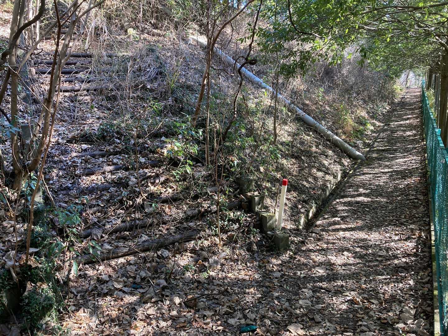 この荒れた階段を、登るの❓😱