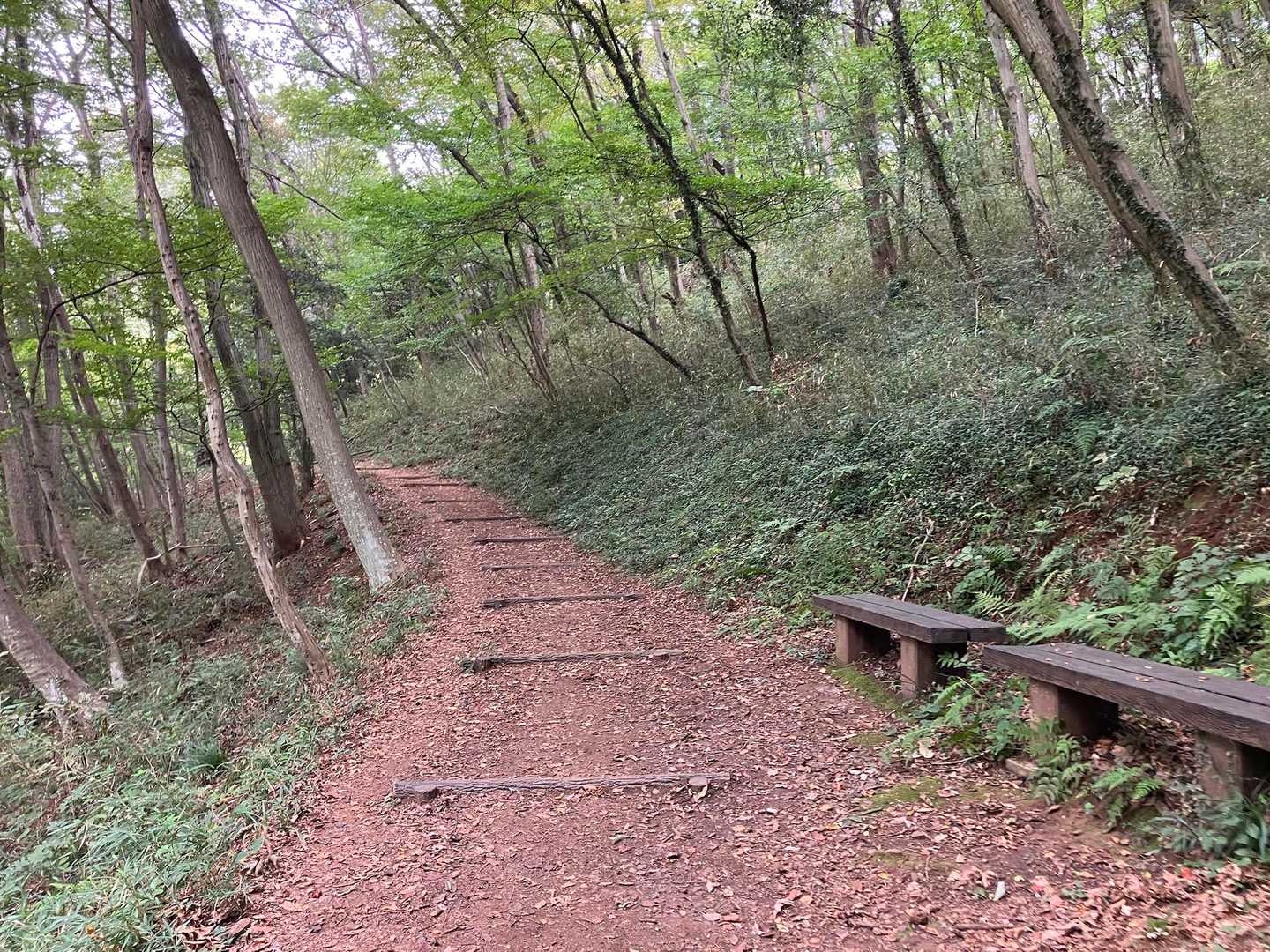 よく整備された散歩道を歩きます。