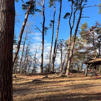 林城址広いスペースに、東屋、ベンチが用意されています。