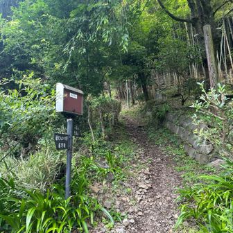 ようやく登山口