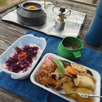 美味しい梅干しごはんとあおさの味噌汁を持参🍱