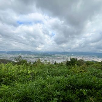 同じ山頂でも
西と東で風の具合が全然違う