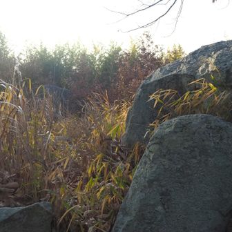 これが夫婦岩だろうか