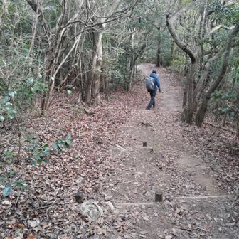 稜線はこんな感じ
天国ロード