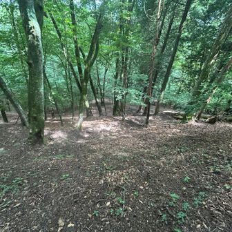 陽が差して下りでも暑い