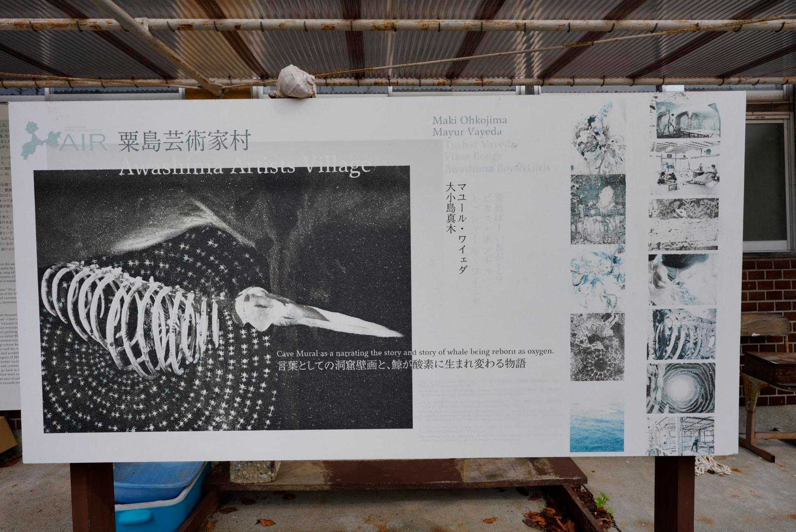 次は洞窟に鯨が⁈