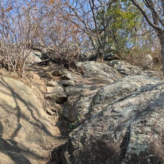 高尾山のすぐ下は岩場