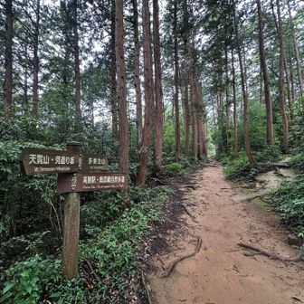 至る所に看板があるので
初めてでも安心