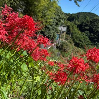 秋です