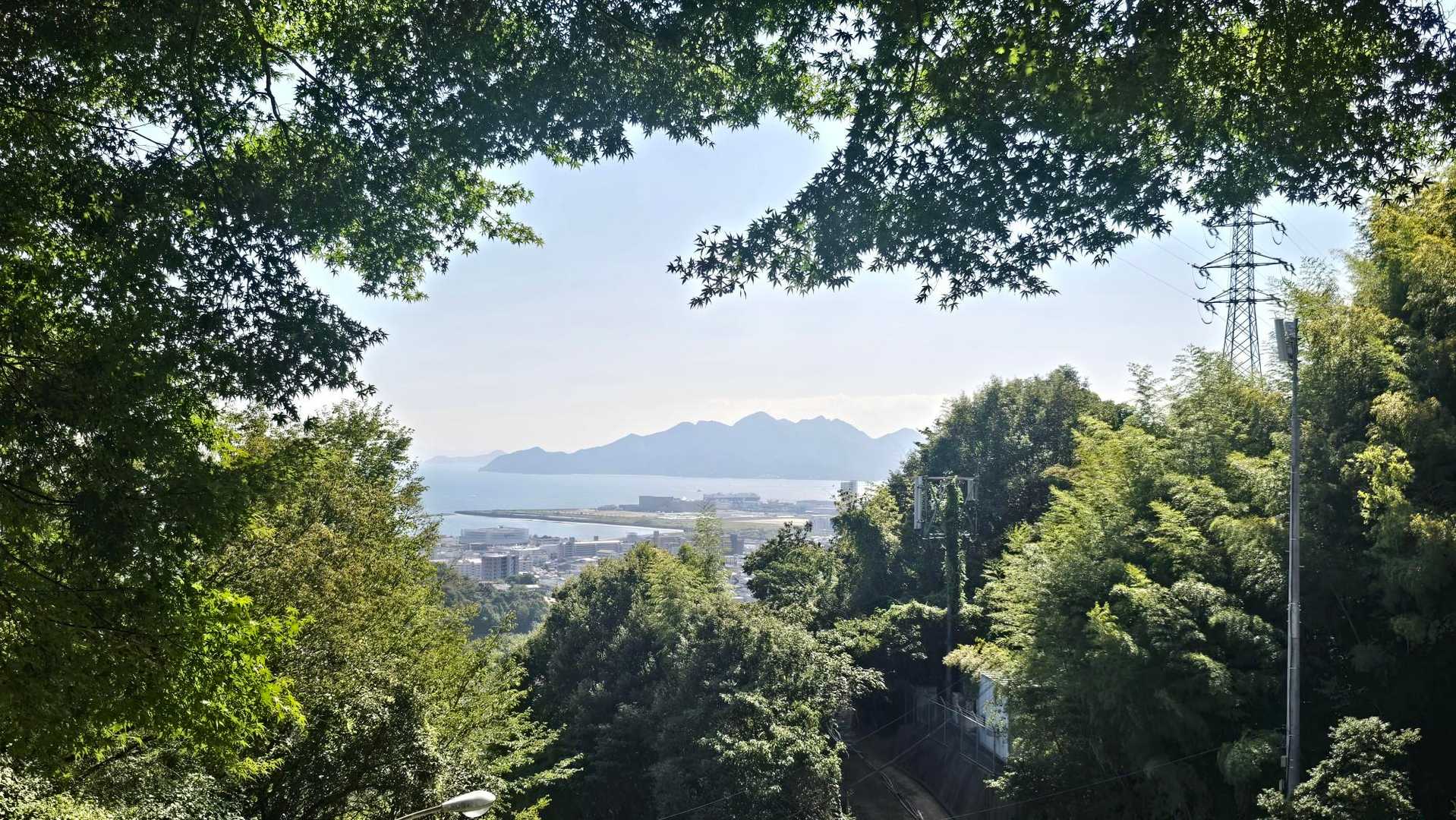 短い時間でも楽しめて良かった～😆

翌日久しぶりに筋肉痛が…
私も白木山⛰️のダメージがありました😂