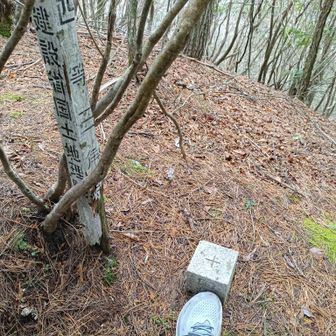 下山途中にあります

点名: 木地
標高: 1087.45 m
種別: 四等三角点

下山の稜線、結構長い
そして激下り💦

今回も色々と木について教えていただく😊桧、杉、モミ等…柚子の木もありました