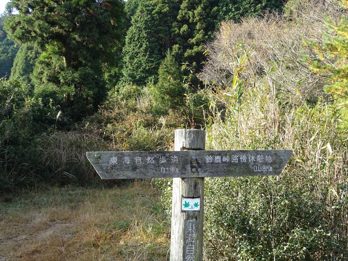 まずまずのお天気で元気にスタート🎶