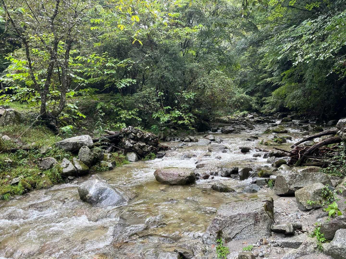 西丹沢ビジターセンターバス停-畦ヶ丸山 往復コースの写真