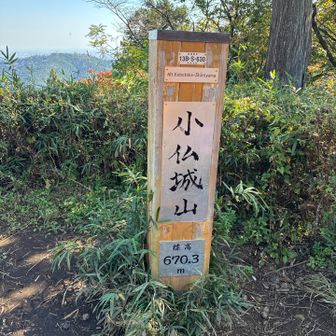 城山です。