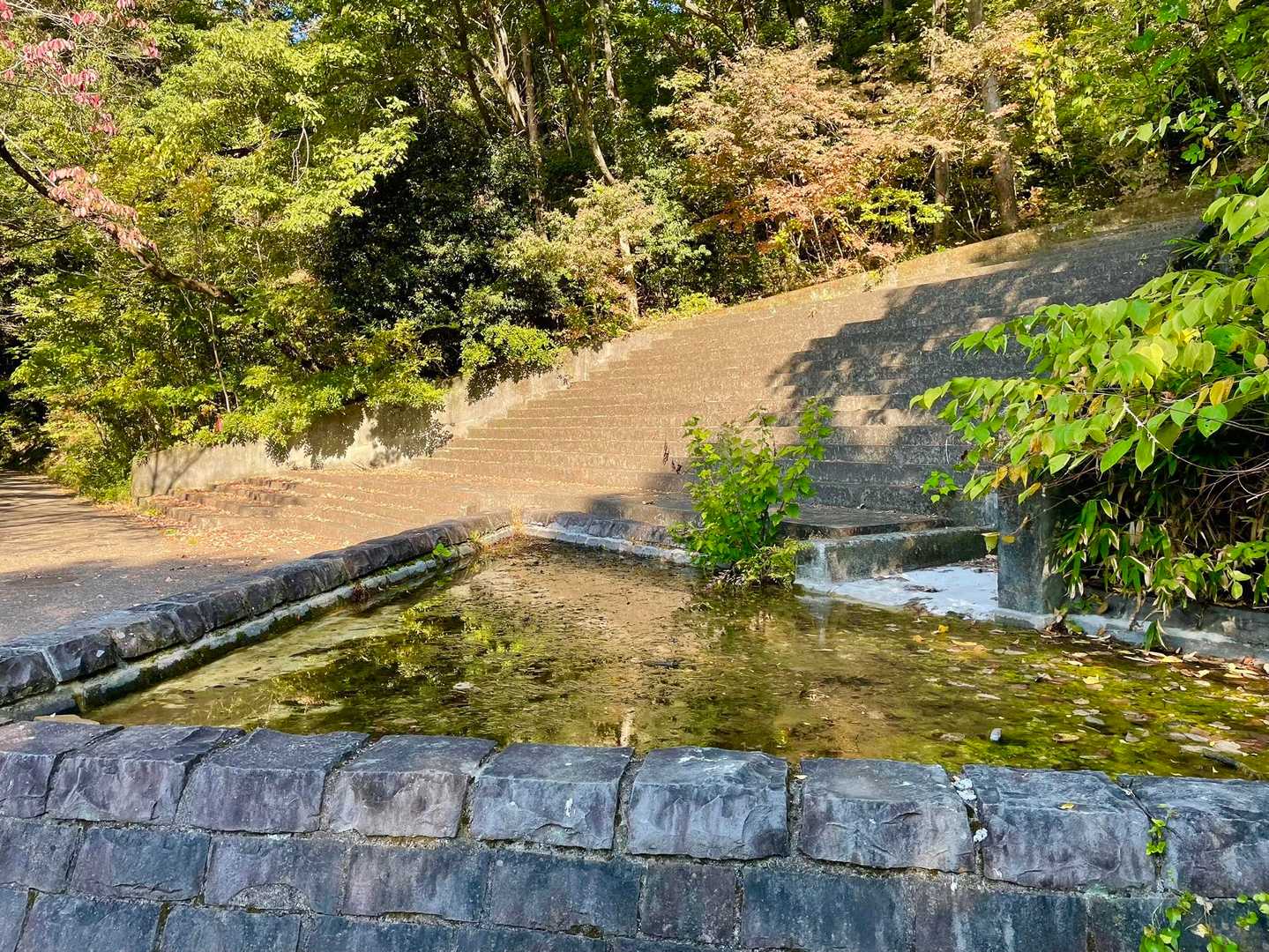 愛宕山-大笠山 往復コースの写真