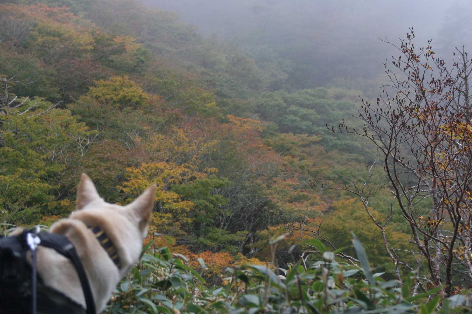 所々、紅葉始まってますよ✨