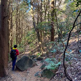 裏側？に降ります