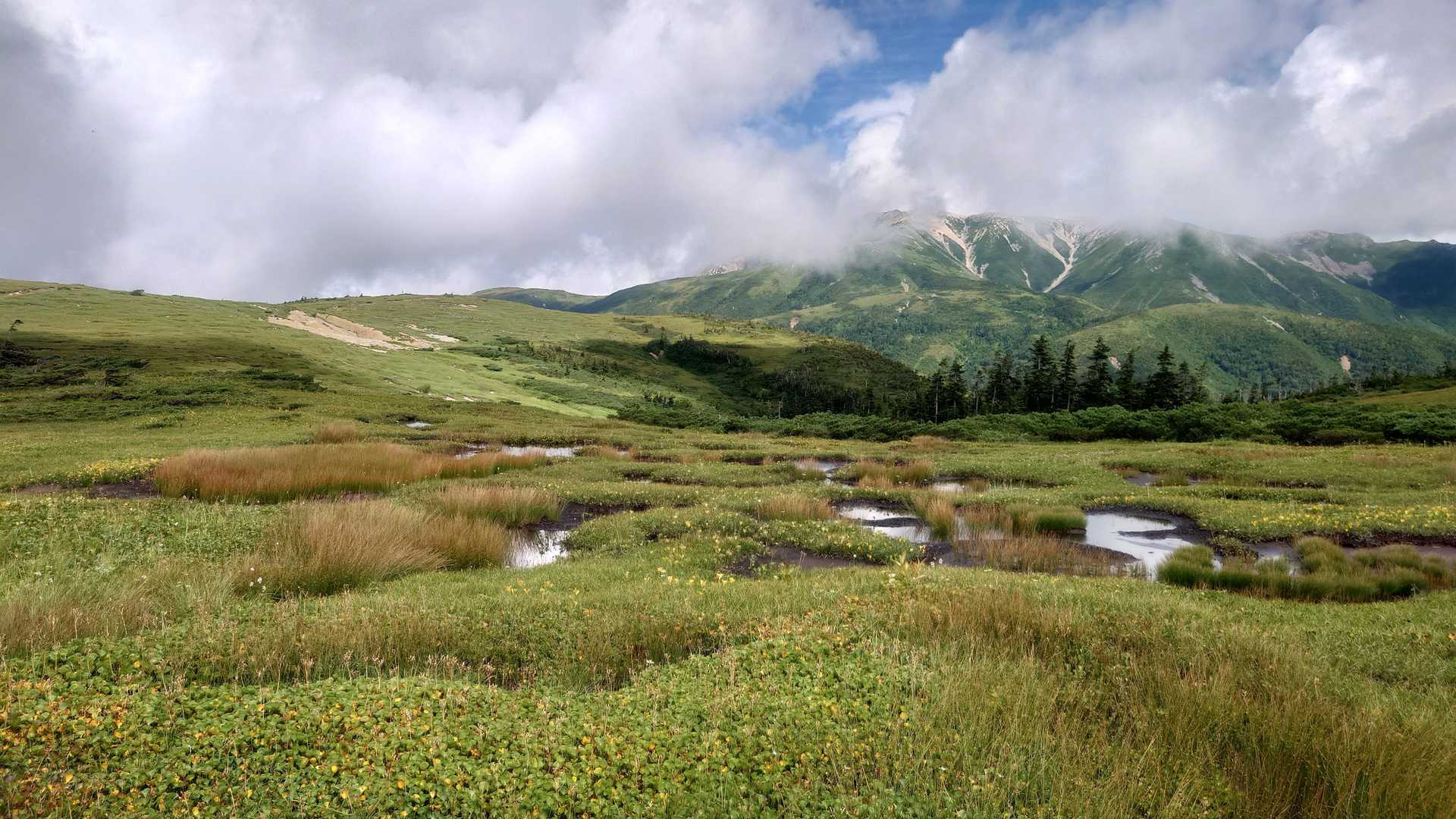 薬師岳登山口-五光岩ベンチ-薬師峠-薬師平-避難小屋跡-薬 周回コースの写真