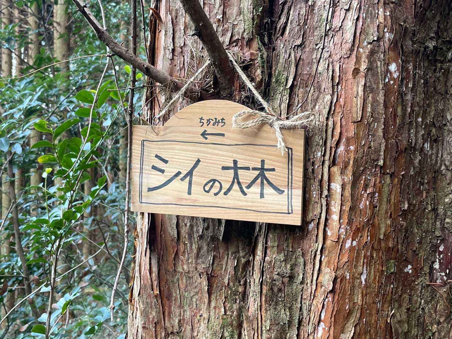 「ちかみち」を下る