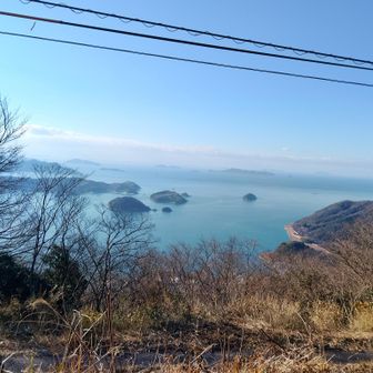 南側

笠岡諸島方面🌊