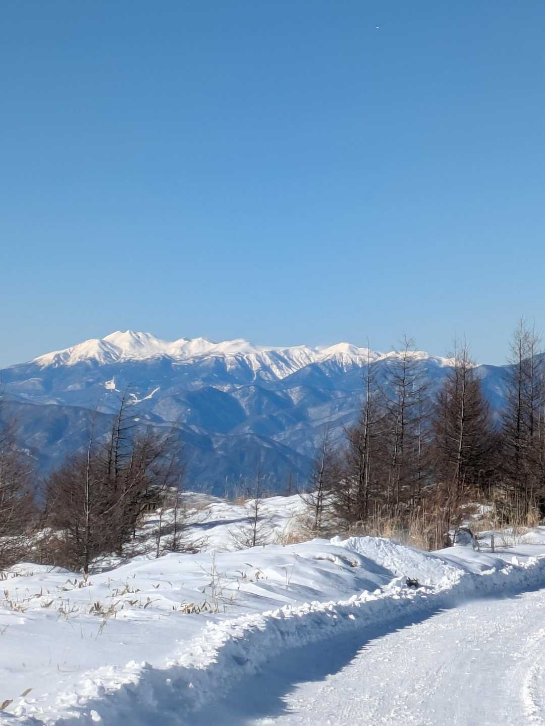 乗鞍岳
