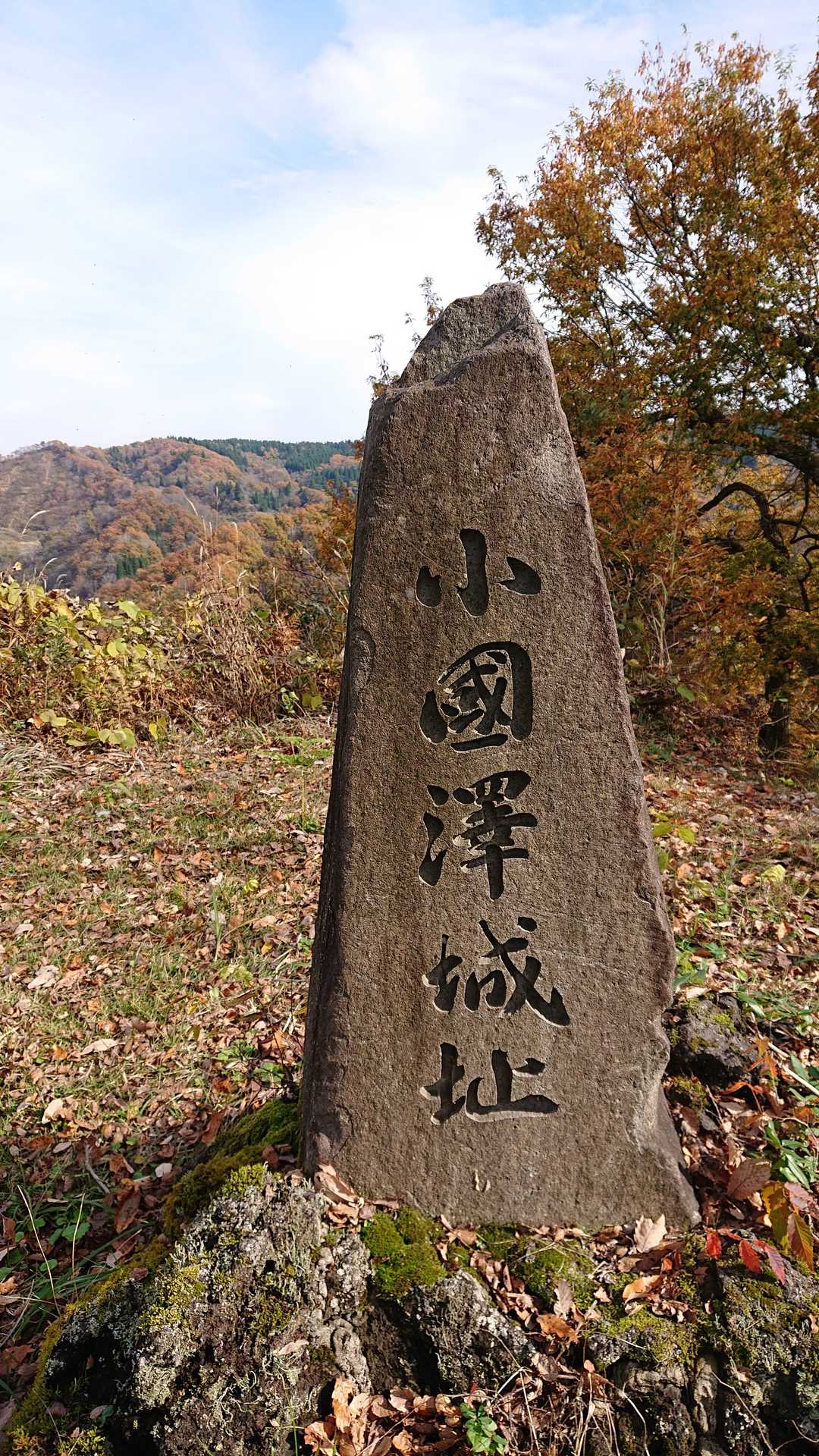 小城山
ここも刈払いされて綺麗です🎵